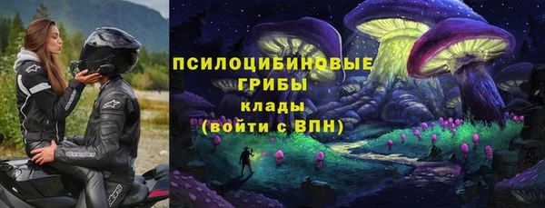 Альфа ПВП Арсеньев