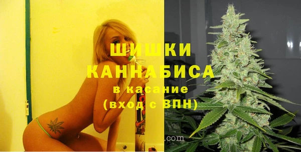 Альфа ПВП Арсеньев